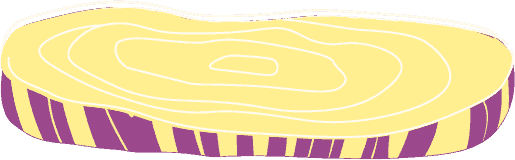 Onion slice